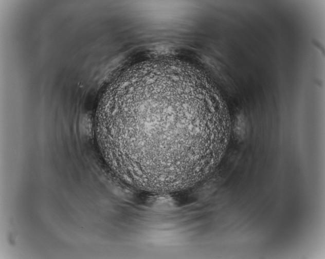 X0000101680715200807171411