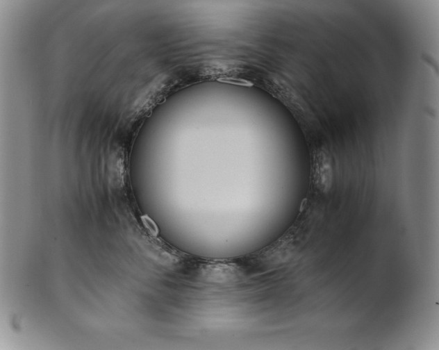 X0000101680716200807171411