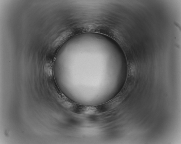 X0000101680719200807171411