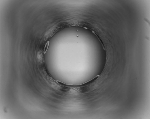 X0000101680720200807171411