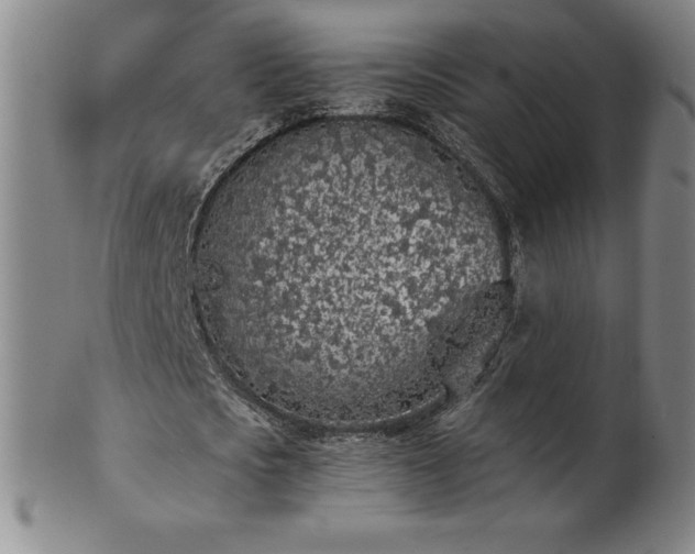 X0000101680721200807171410