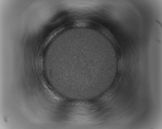 X0000101680722200807171410