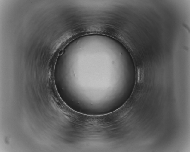 X0000101680723200807171410