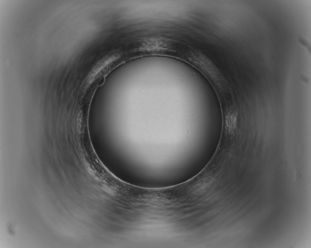 X0000101680724200807171410