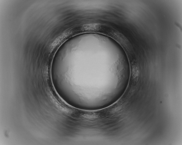 X0000101680725200807171410