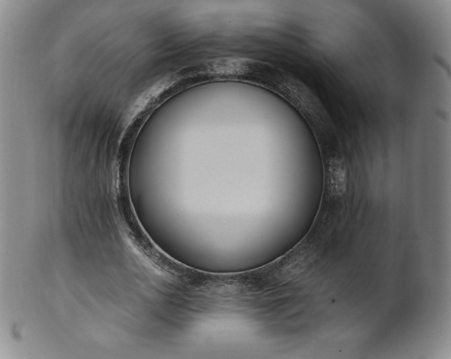 X0000101680726200807171410