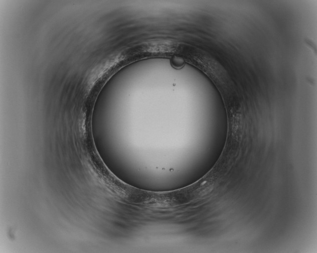 X0000101680727200807171410