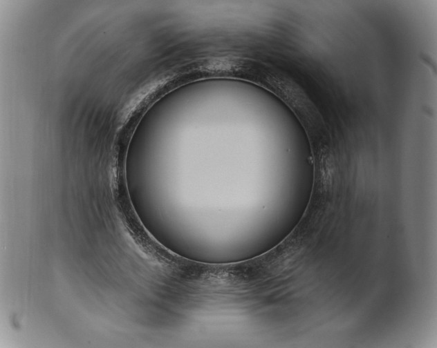 X0000101680728200807171411