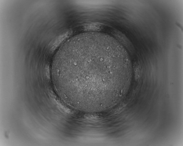 X0000101680729200807171411