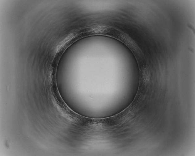 X0000101680730200807171411