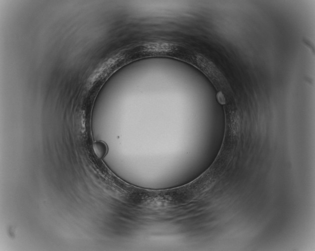 X0000101680731200807171411