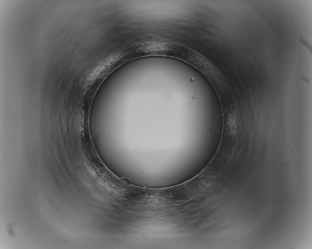 X0000101680732200807171411