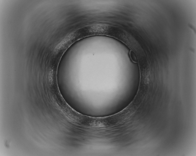 X0000101680735200807171411