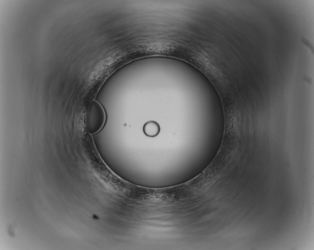 X0000101680736200807171411