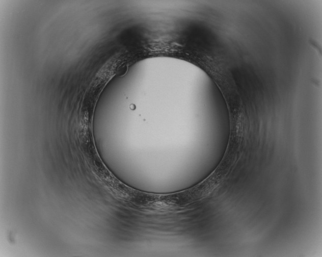 X0000101680737200807171411