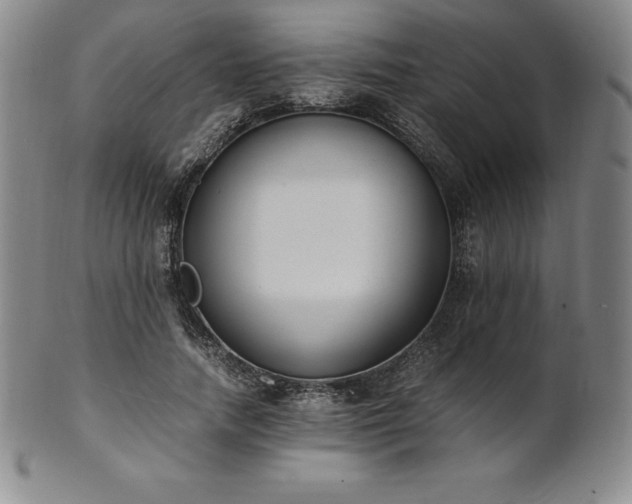 X0000101680738200807171411