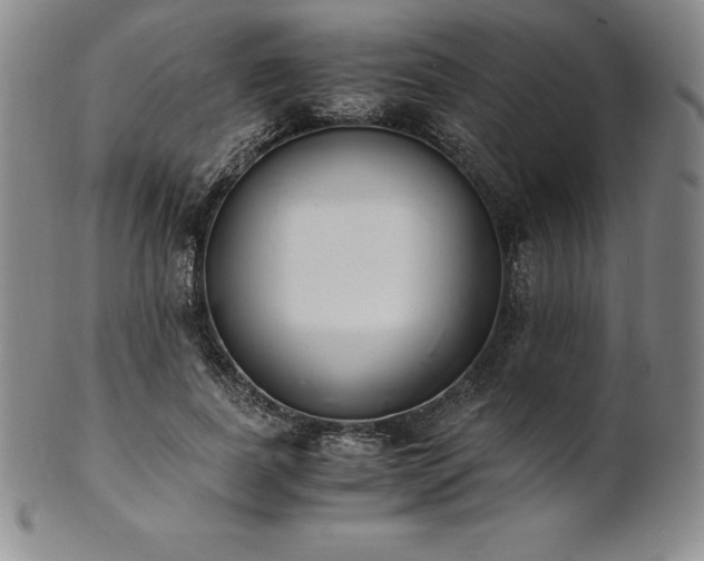 X0000101680739200807171411