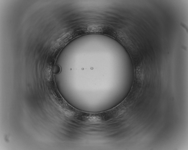 X0000101680741200807171411