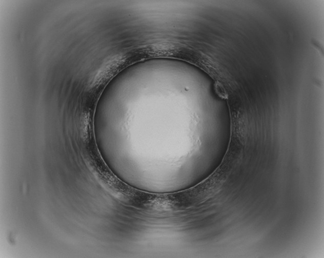 X0000101680742200807171411