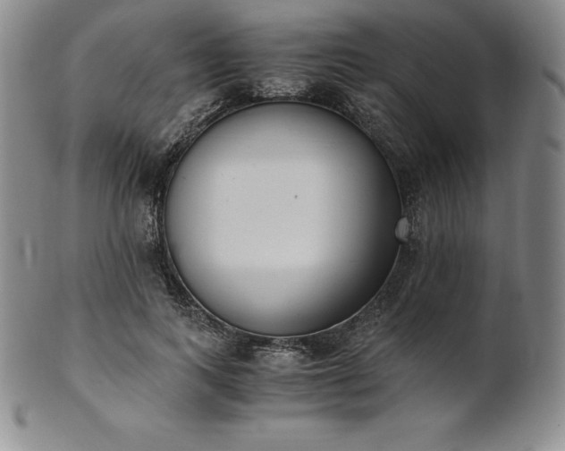 X0000101680743200807171411