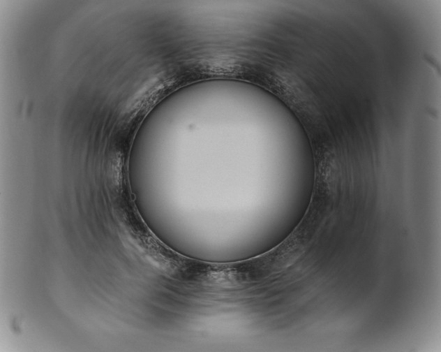 X0000101680744200807171411