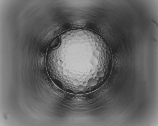 X0000101680745200807171411