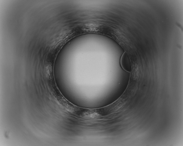 X0000101680747200807171411