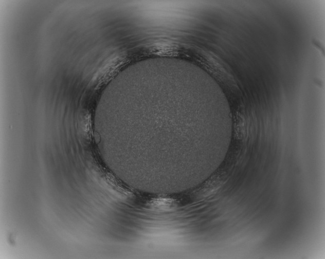 X0000101680748200807171411