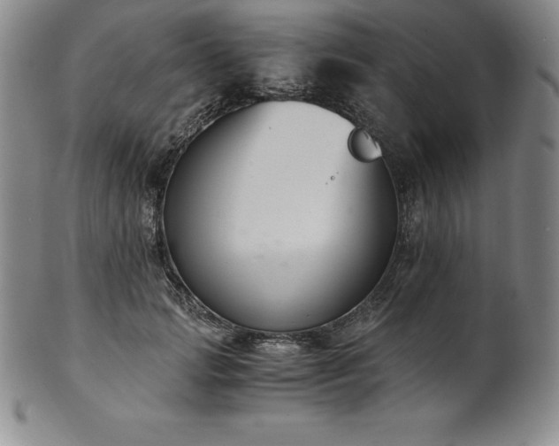 X0000101680749200807171411