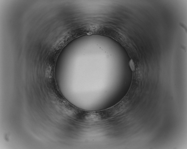 X0000101680750200807171411