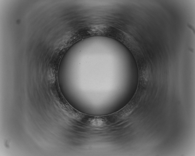 X0000101680751200807171411