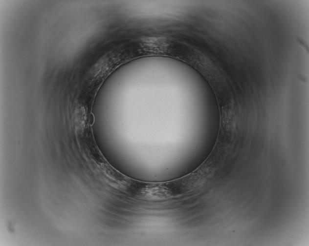 X0000101680752200807171411