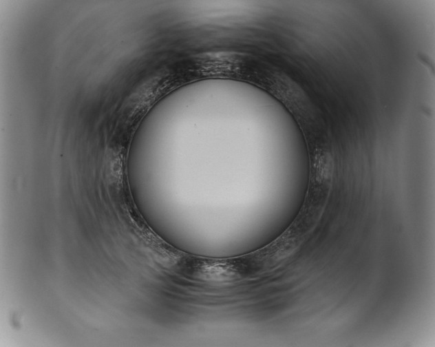 X0000101680753200807171411