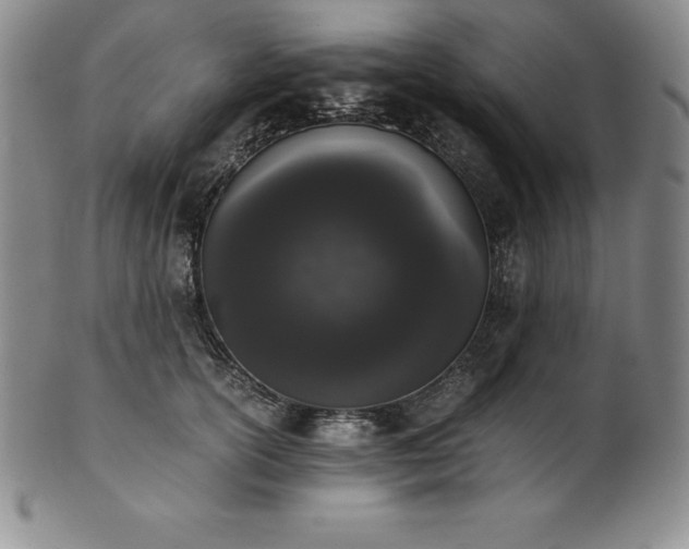 X0000101680754200807171411