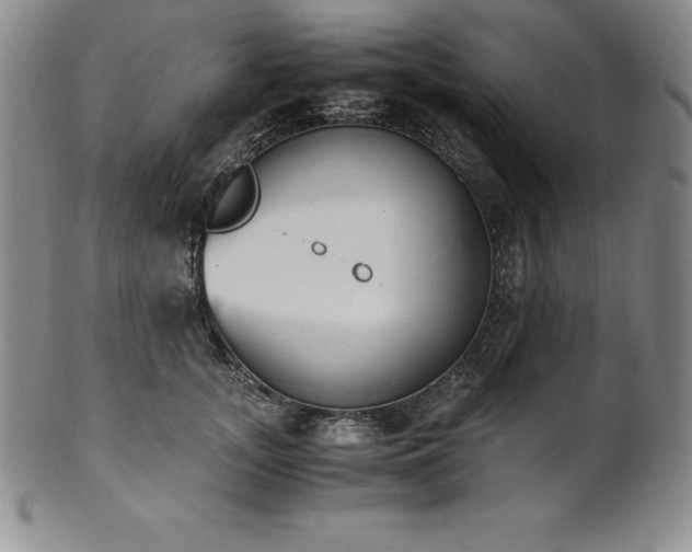 X0000101680755200807171411