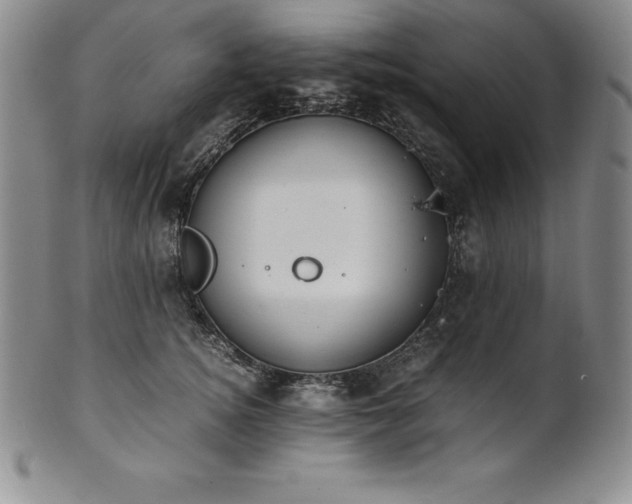 X0000101680756200807171411