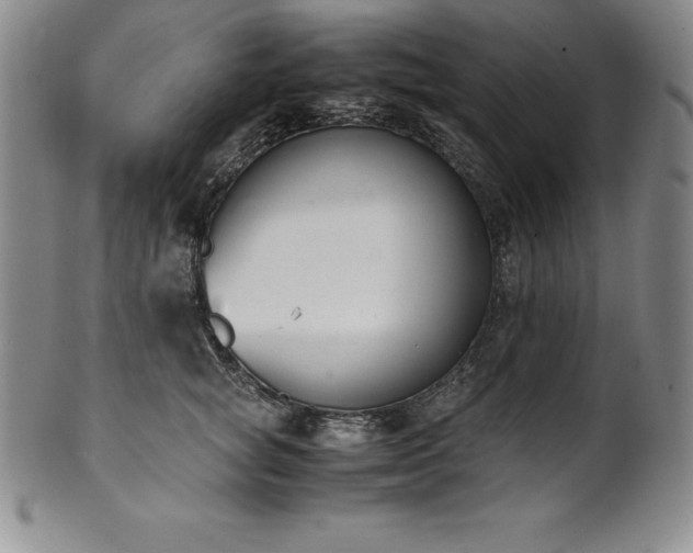 X0000101680757200807171411