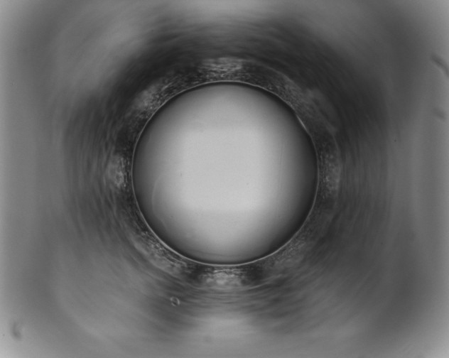 X0000101680758200807171411