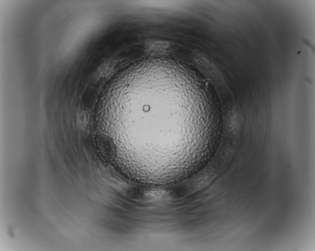 X0000101680759200807171411