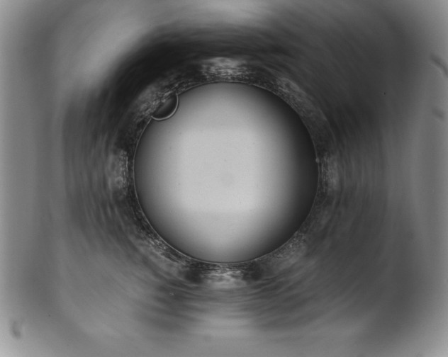 X0000101680760200807171411