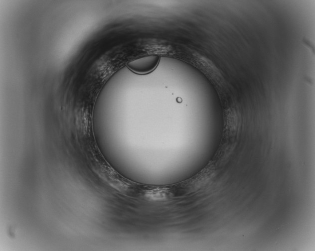 X0000101680761200807171411