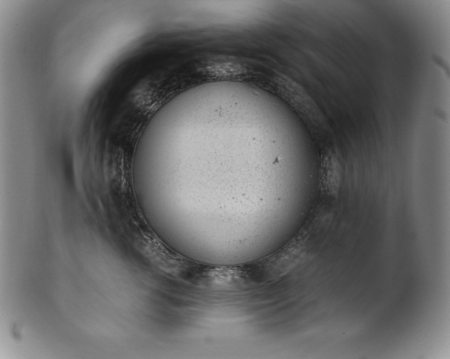 X0000101680762200807171411