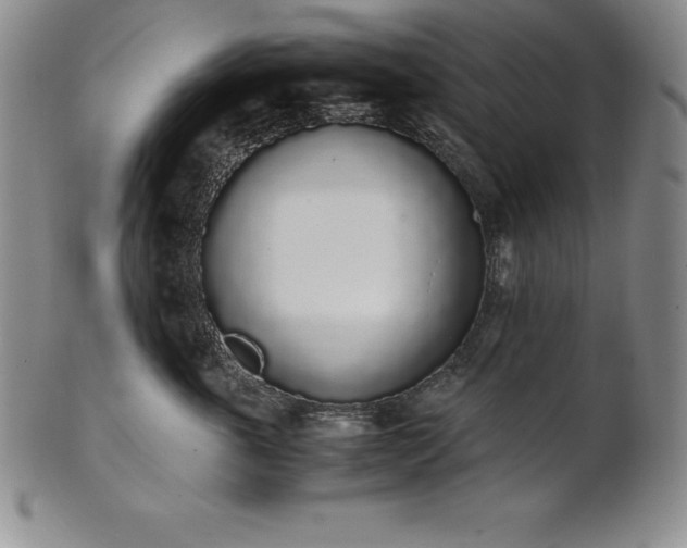 X0000101680763200807171411