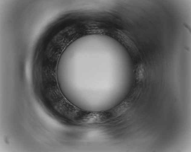 X0000101680764200807171411