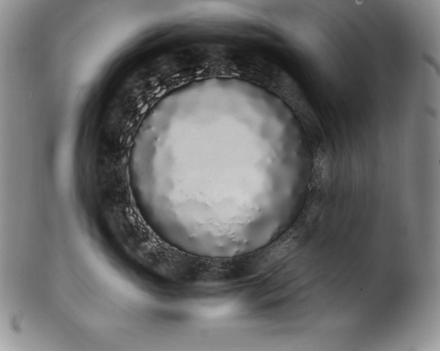 X0000101680765200807171411