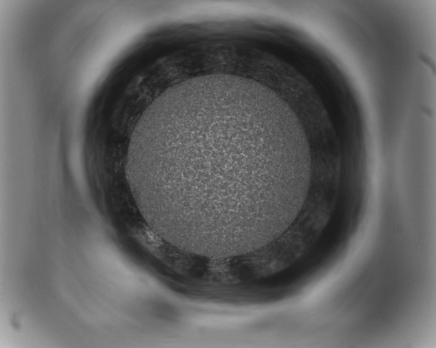 X0000101680766200807171411