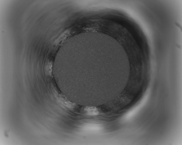 X0000101680767200807171411