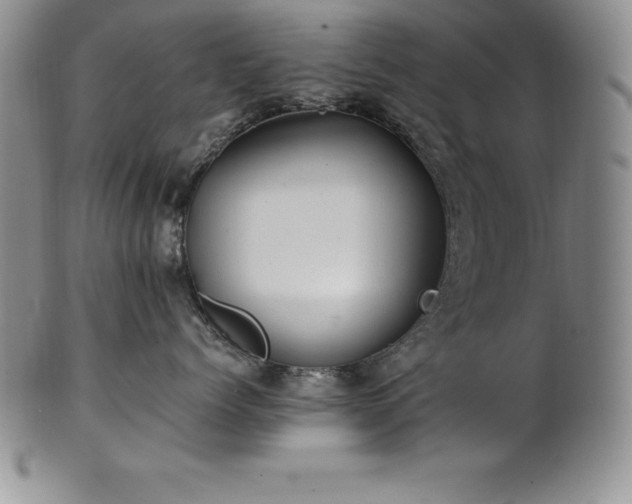 X0000101680768200807171411