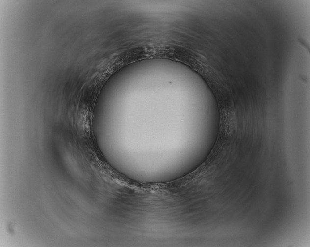 X0000101680770200807171410