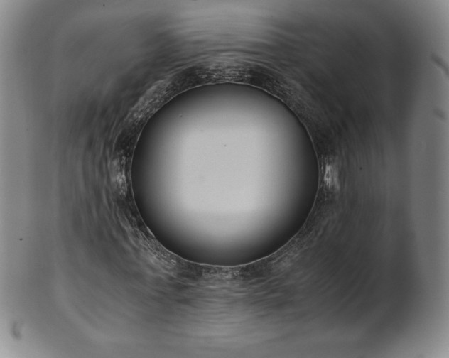 X0000101680771200807171410